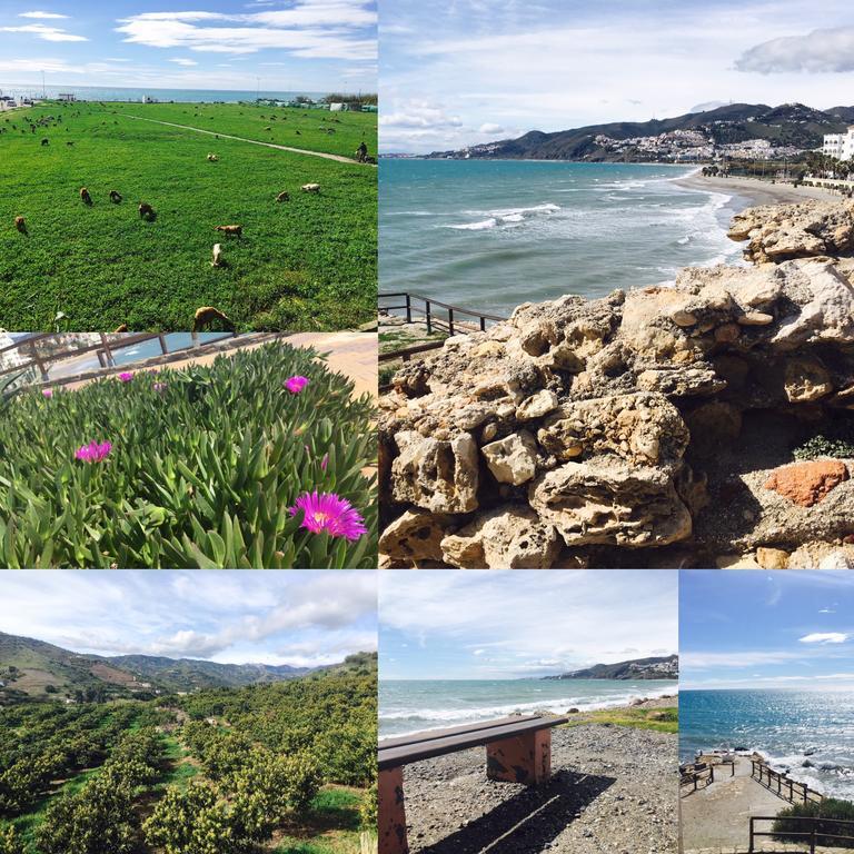 Axarquia Apartments Nerja Dış mekan fotoğraf