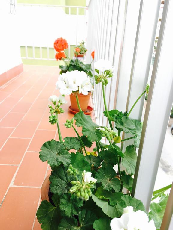 Axarquia Apartments Nerja Dış mekan fotoğraf